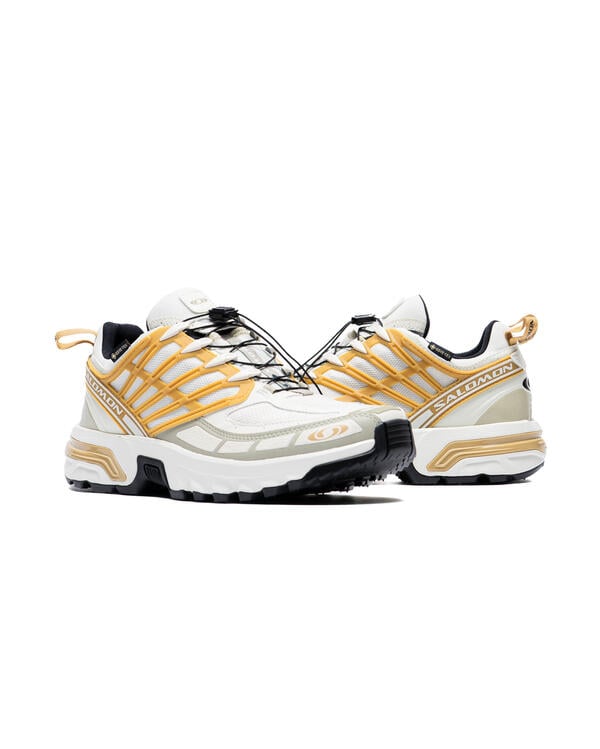 靴 SALOMON ACS PRO GORE-TEX Salomon ACS PRO GORE-TEX | L47599800 | AFEW STORE